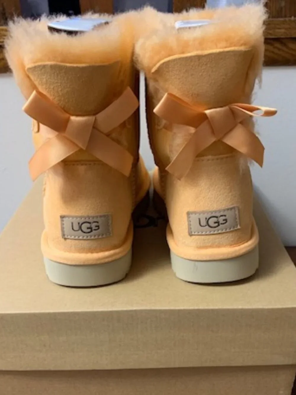NIB UGG Boots